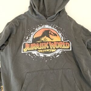 Jurassic Park Tip Scales Graphic Hoodie and Joggers
